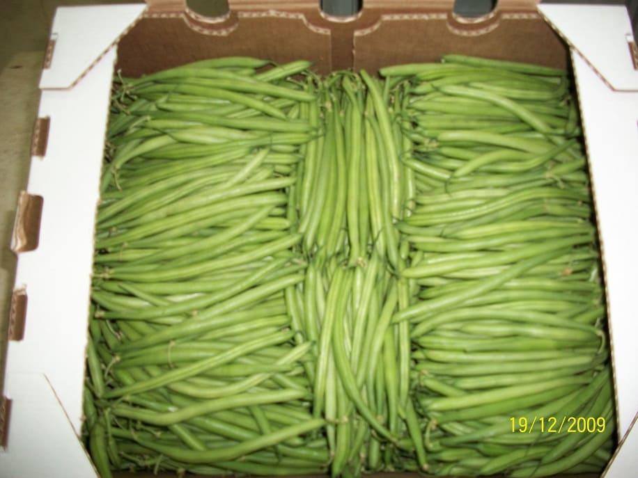 Aton Green Egypt Fresh Fruits & Vegetables